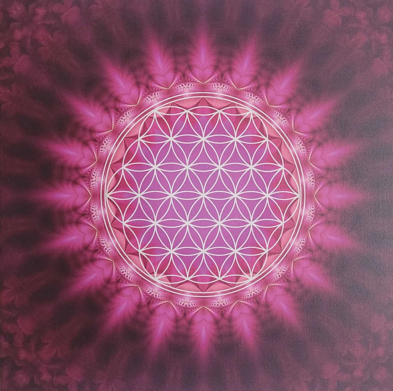 Dreieck-Meditation Pitanga Yoga